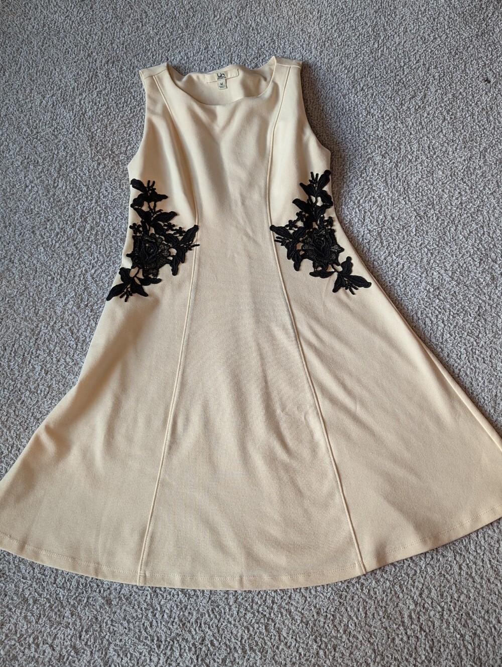 Sleeveless Cream A-Line Dress with Black Floral Applique